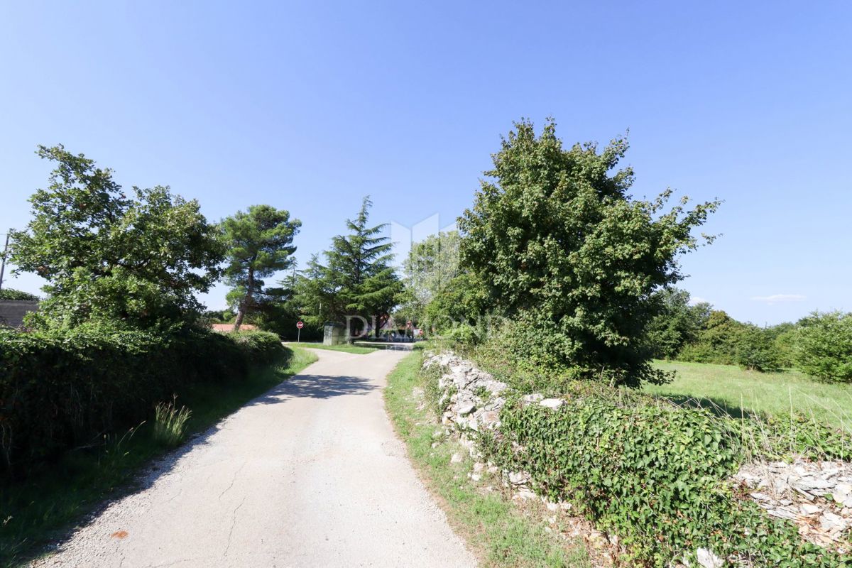 Dignano, dintorni - ottimo terreno edificabile!