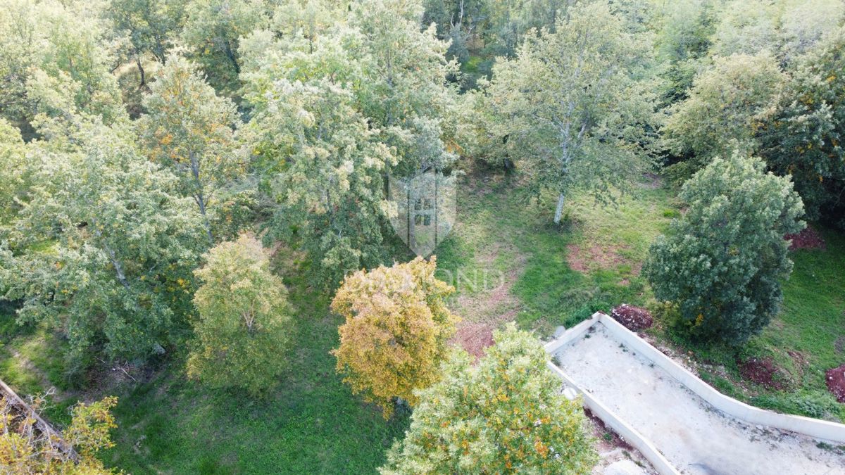 Parenzo – terreno 8.975 m² con parte edificabile