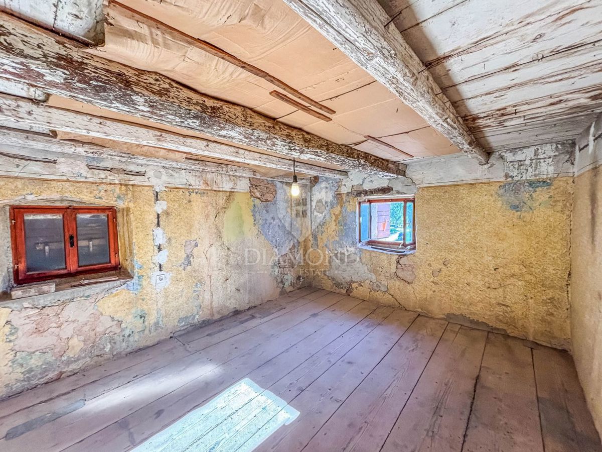 Umago, dintorni - casa autentica con giardino!