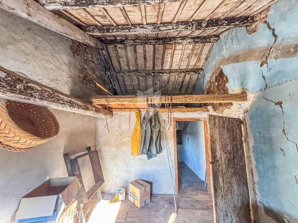 Umago, dintorni - casa autentica con giardino!