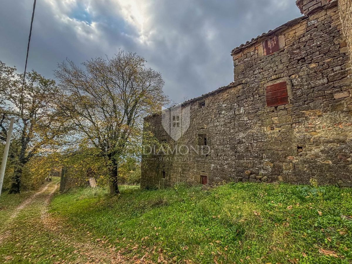 Motovun, proprietà con grande potenziale di sviluppo!