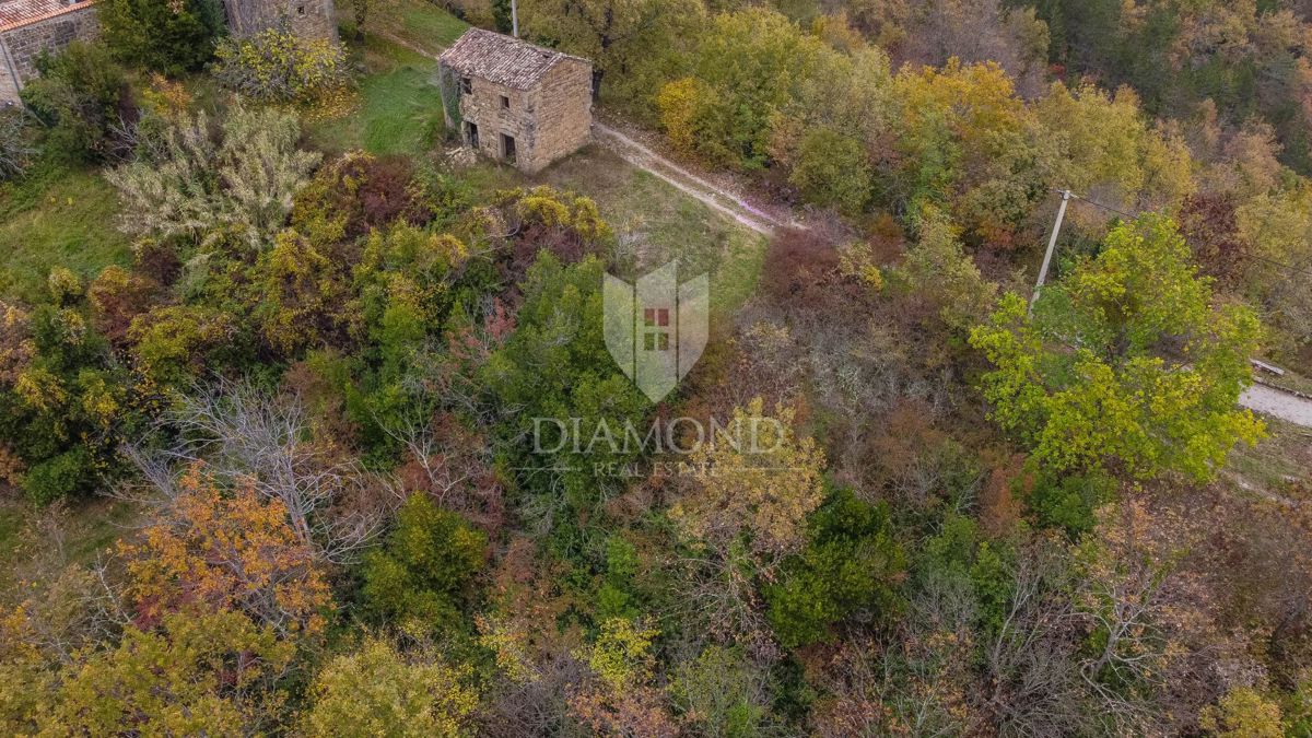 Motovun, proprietà con grande potenziale di sviluppo!