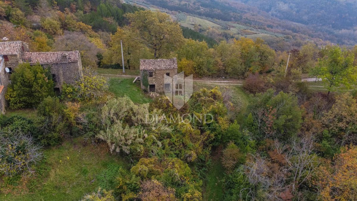 Motovun, proprietà con grande potenziale di sviluppo!