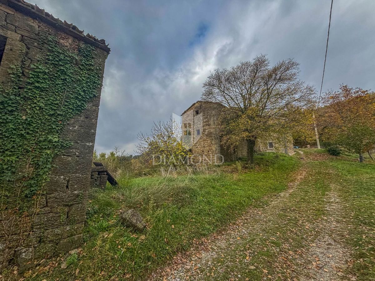 Motovun, proprietà con grande potenziale di sviluppo!