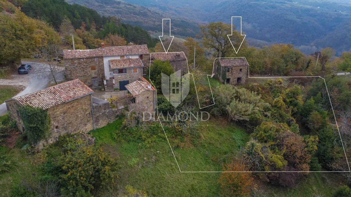 Motovun, proprietà con grande potenziale di sviluppo!