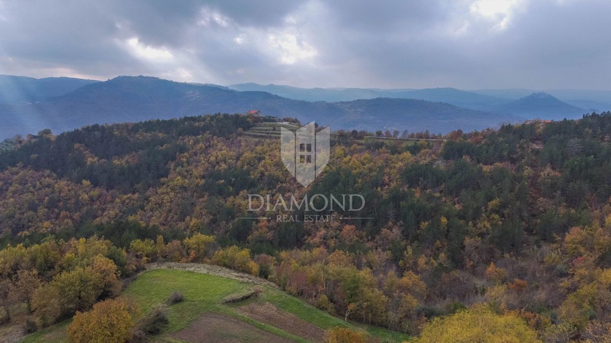 Motovun, proprietà con grande potenziale di sviluppo!