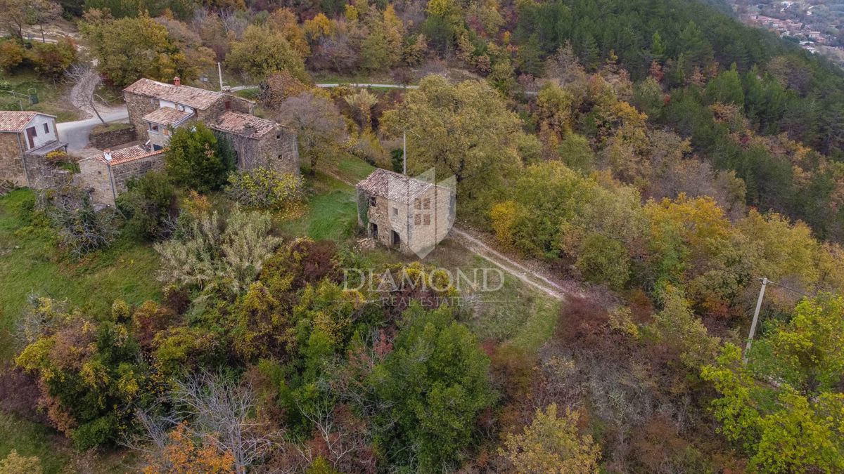 Motovun, proprietà con grande potenziale di sviluppo!