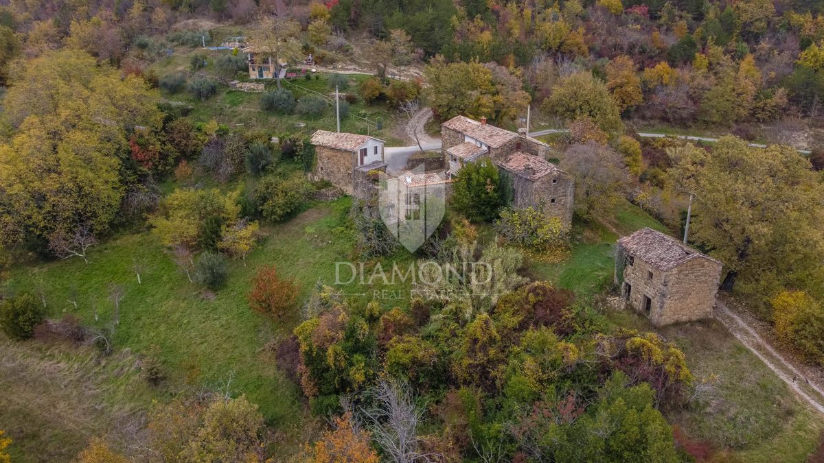 Motovun, proprietà con grande potenziale di sviluppo!