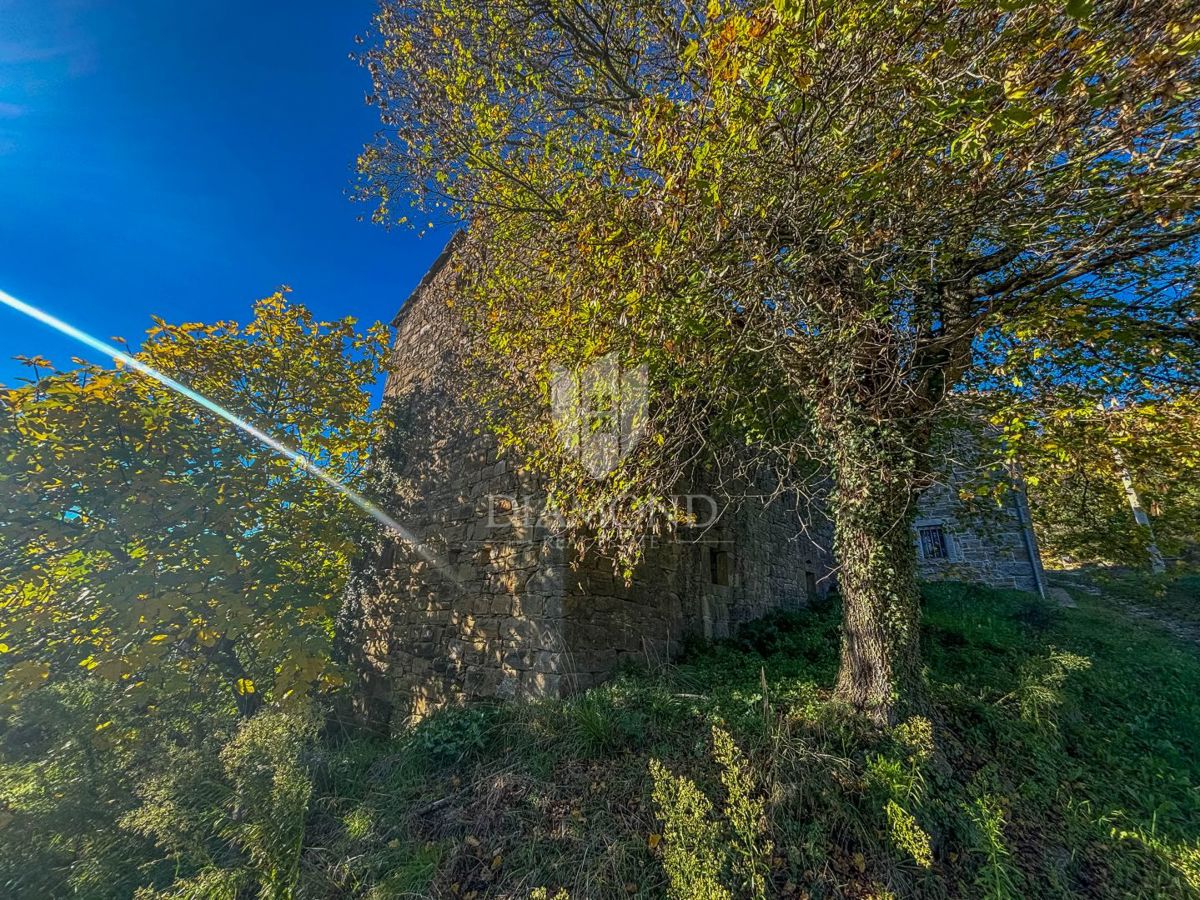 Motovun, proprietà con grande potenziale di sviluppo!