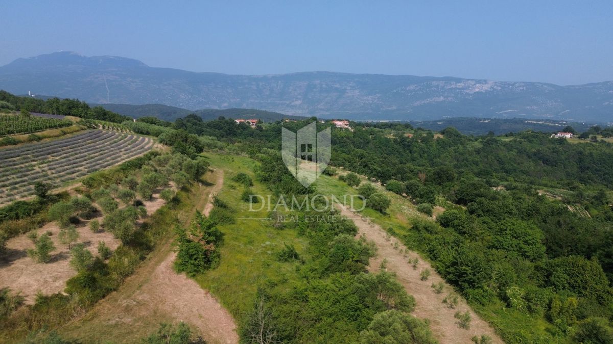 Istria, terreno isolato con permesso di costruire valido