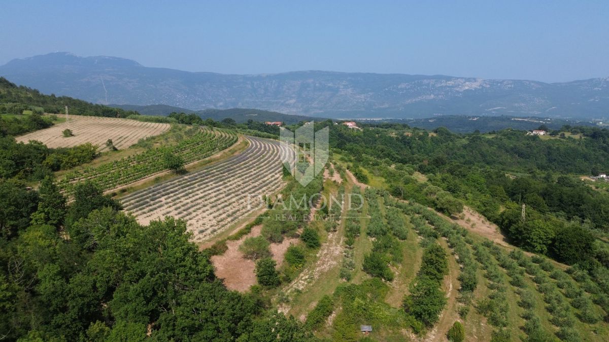 Istria, terreno isolato con permesso di costruire valido