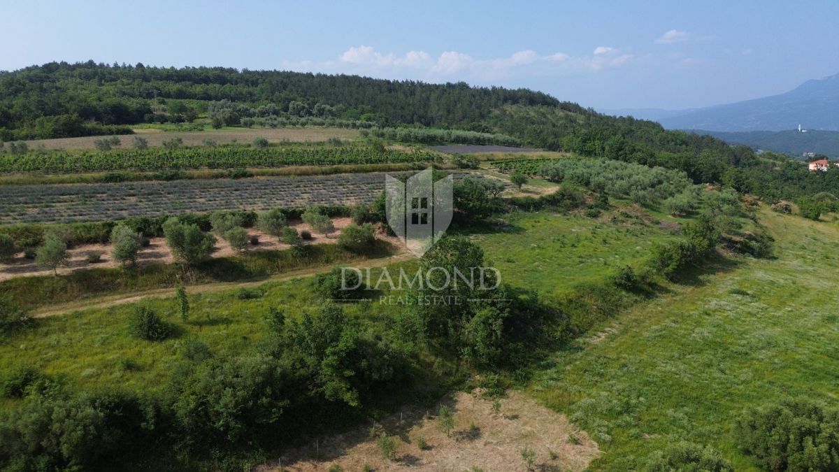 Istria, terreno isolato con permesso di costruire valido