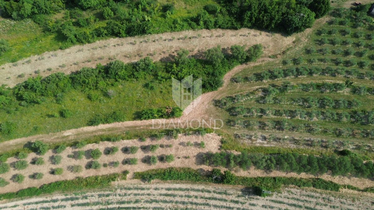 Istria, terreno isolato con permesso di costruire valido