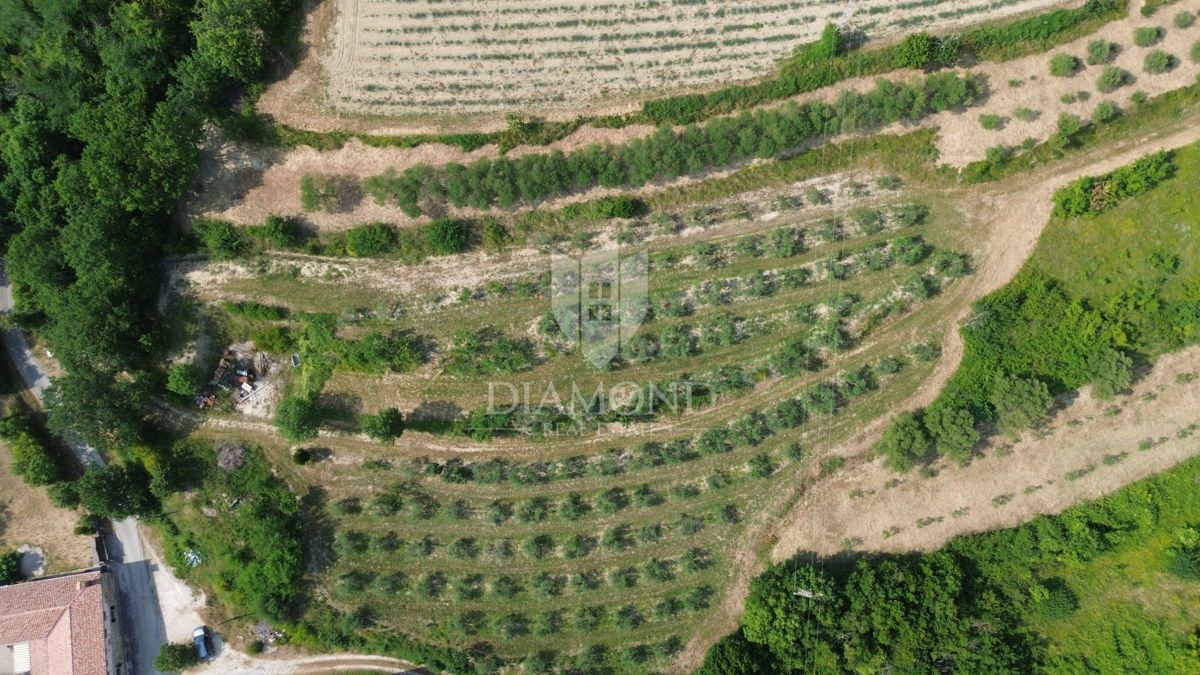 Istria, terreno isolato con permesso di costruire valido