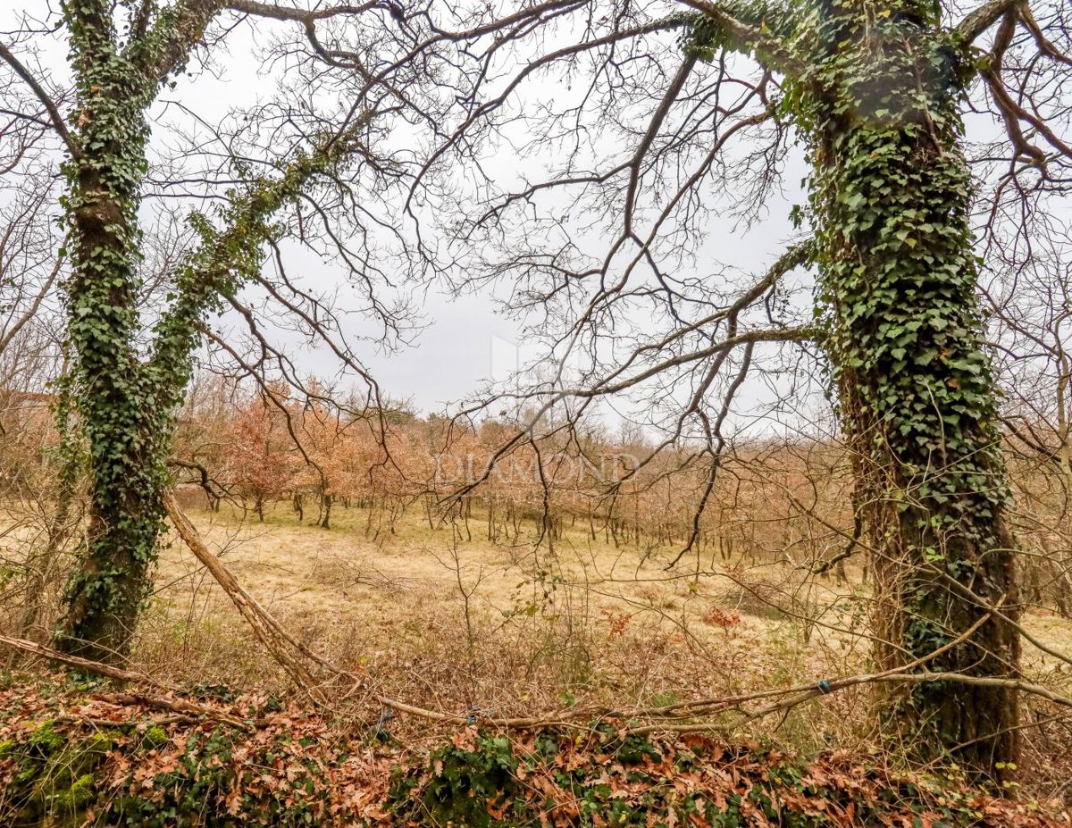 Žminj, ampio terreno per nuovi progetti