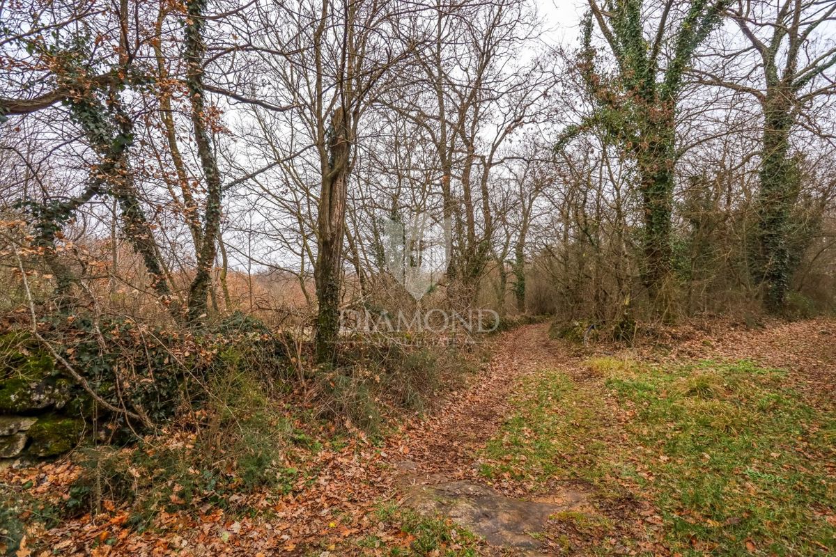 Žminj, ampio terreno per nuovi progetti