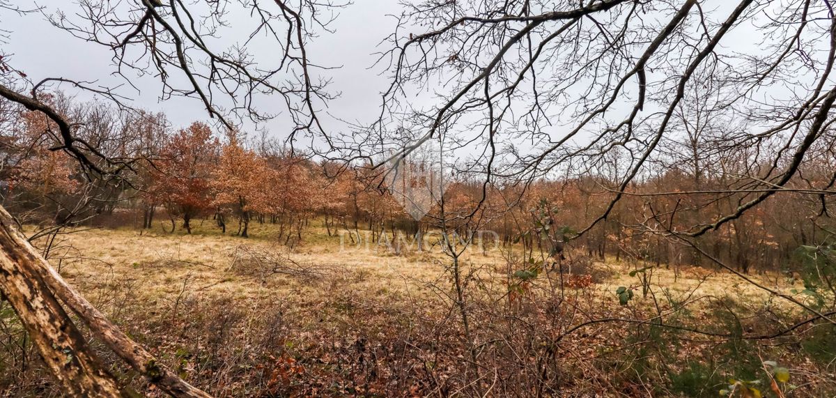 Žminj, ampio terreno per nuovi progetti