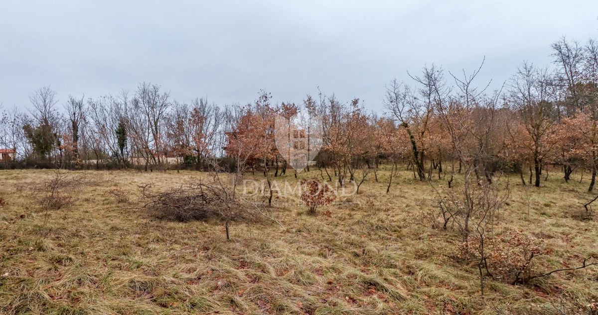 Žminj, ampio terreno per nuovi progetti