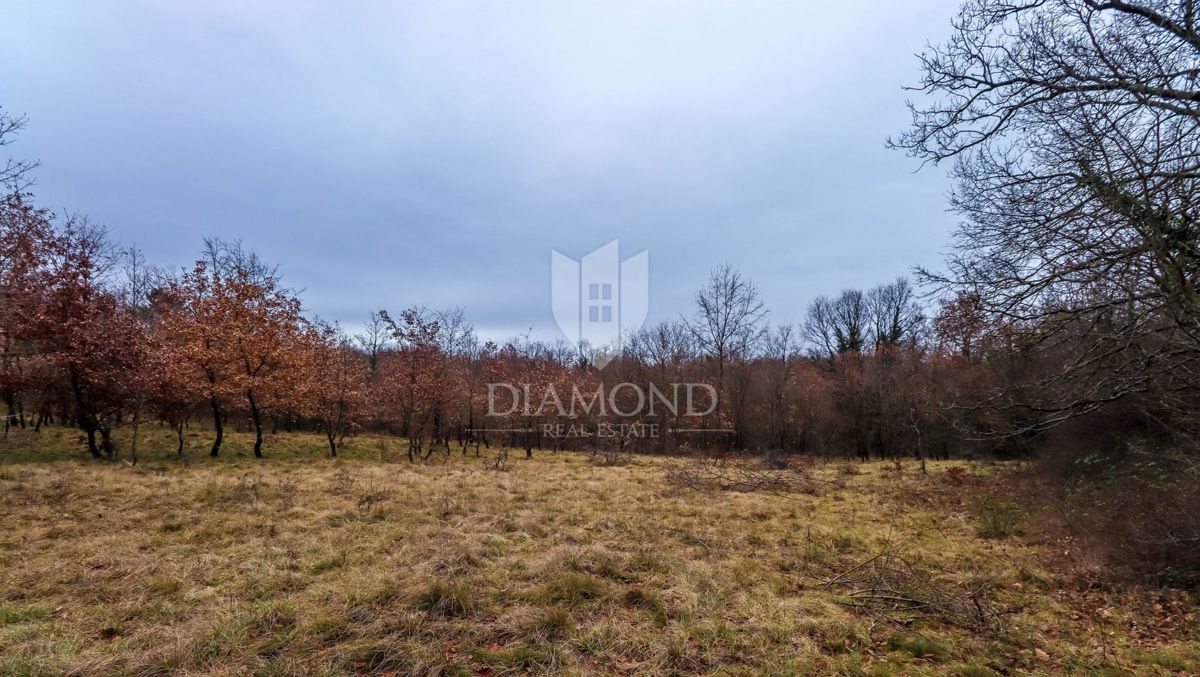 Žminj, ampio terreno per nuovi progetti