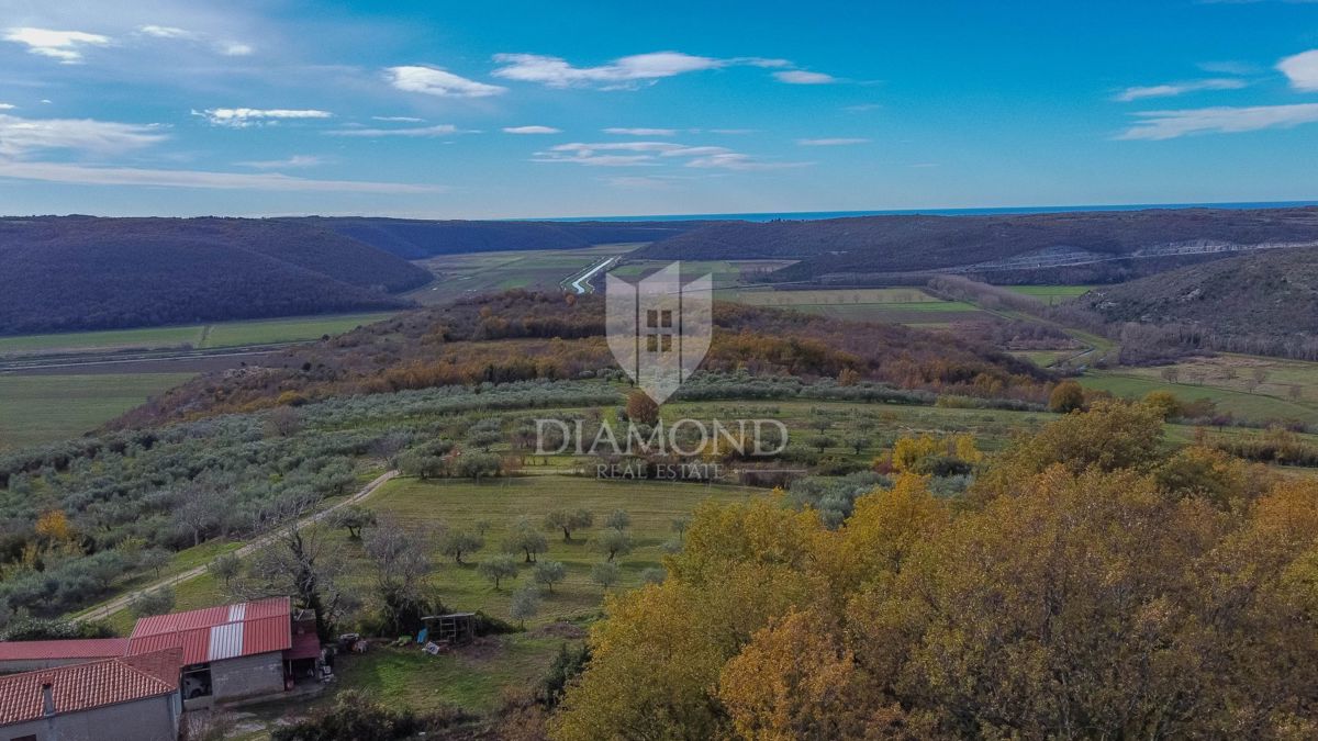 Buie, graziosa casetta con piscina vicino a Grisignana!