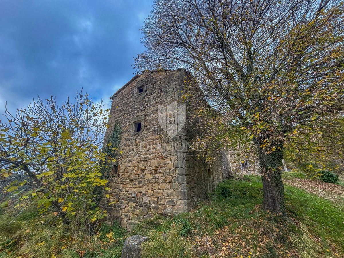 Motovun, proprietà con grande potenziale di sviluppo!