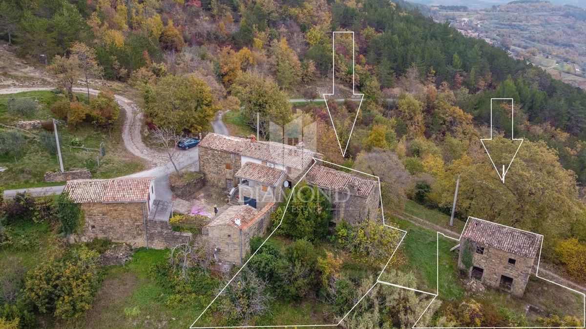 Motovun, proprietà con grande potenziale di sviluppo!