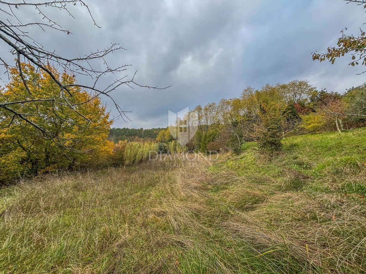 Motovun, proprietà con grande potenziale di sviluppo!
