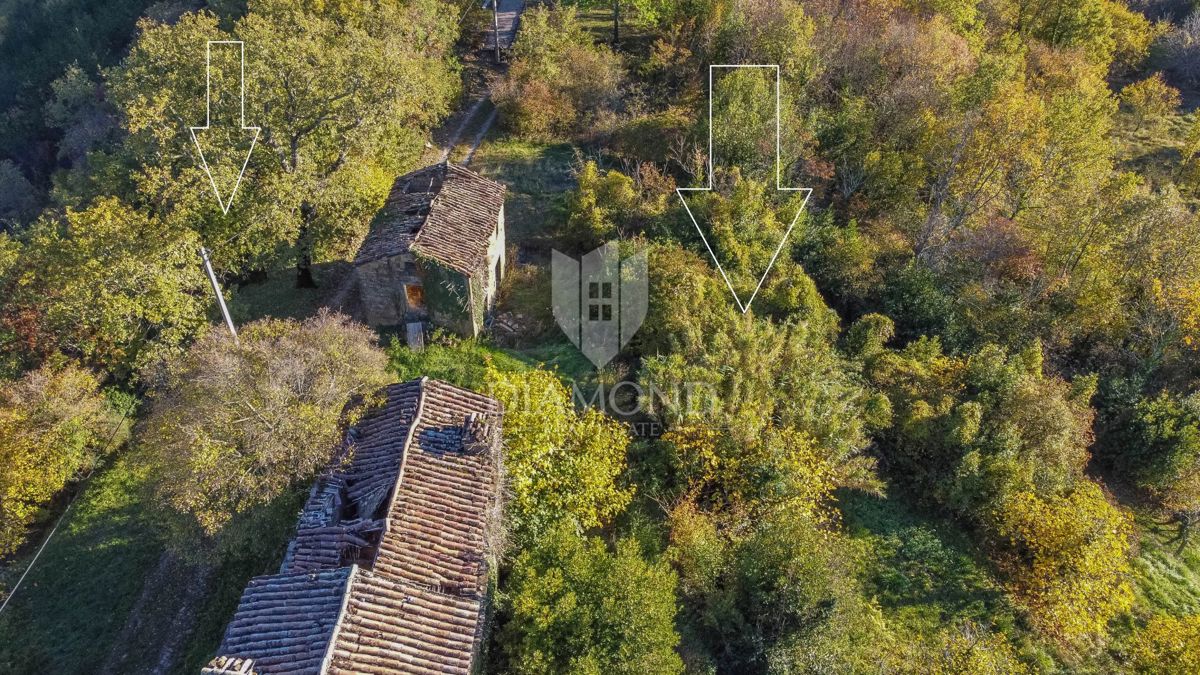 Motovun, proprietà con grande potenziale di sviluppo!