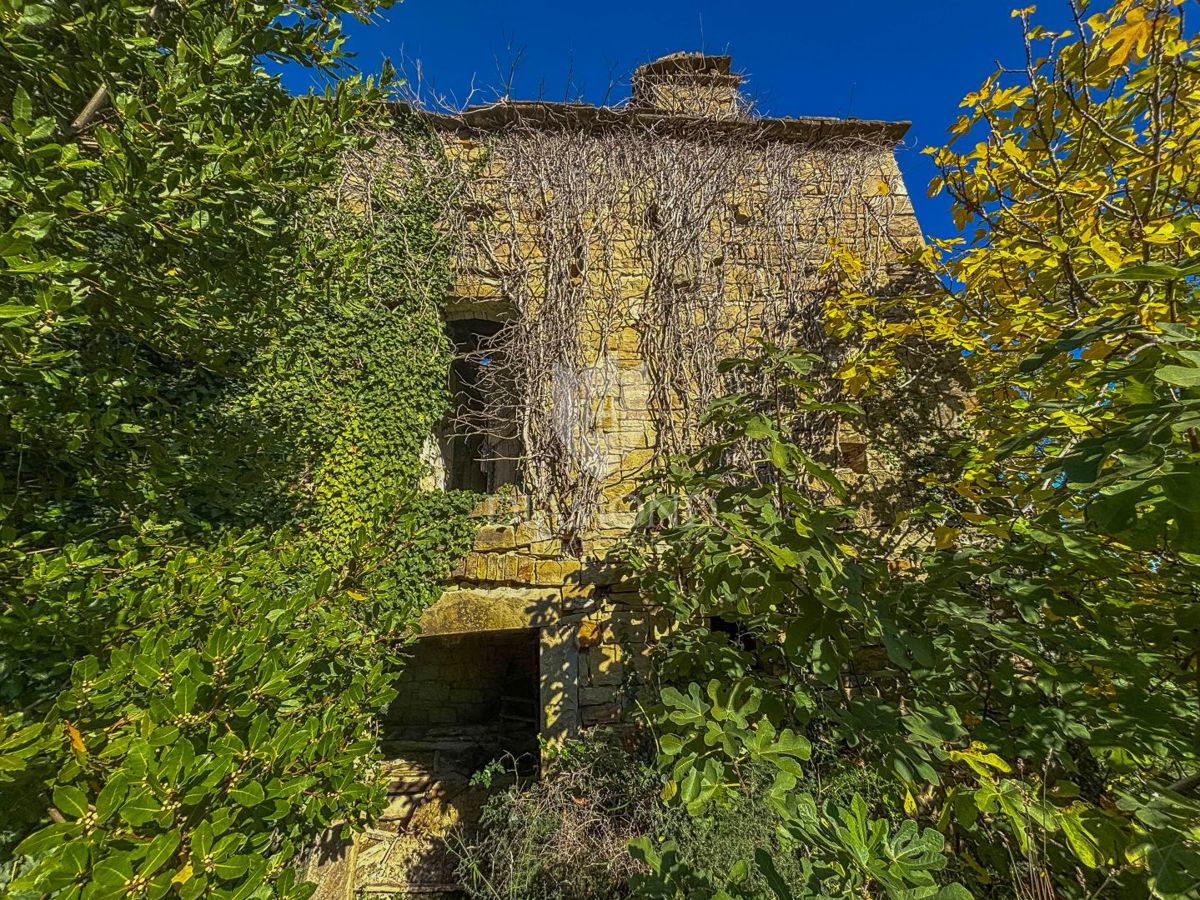Motovun, proprietà con grande potenziale di sviluppo!