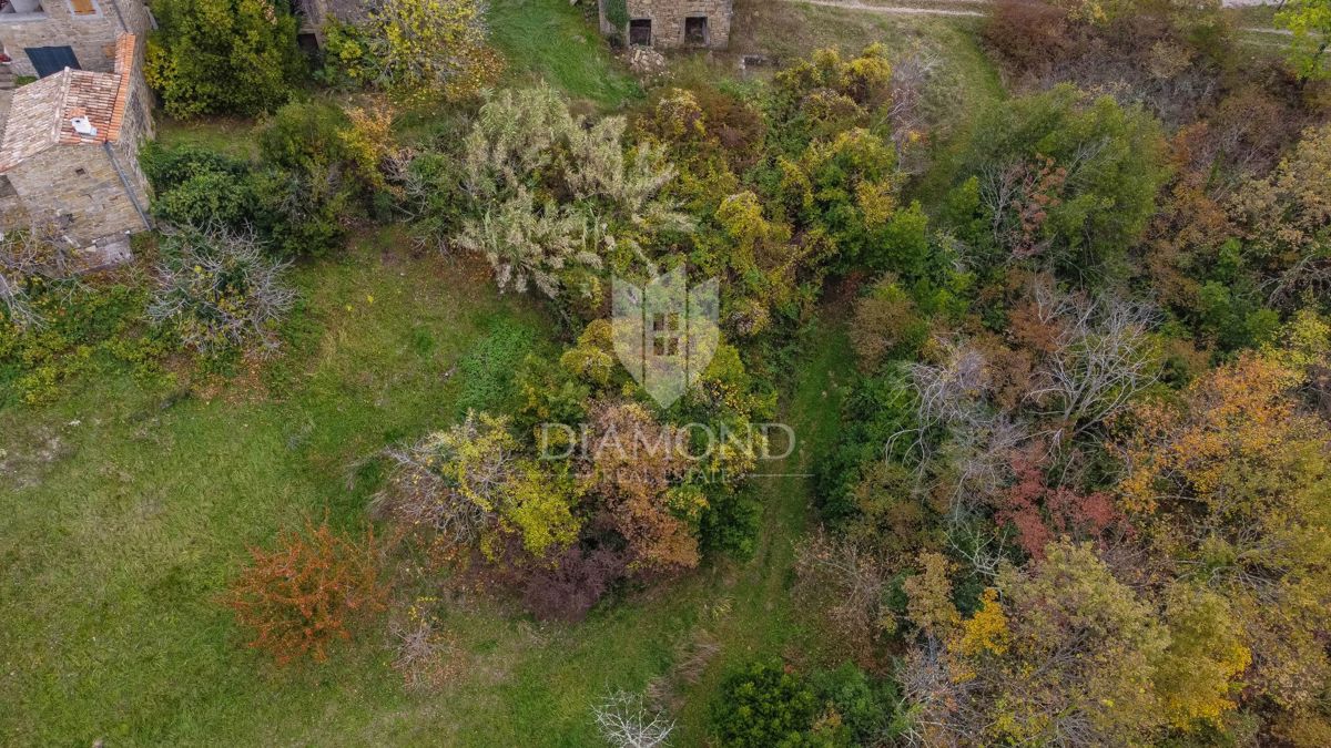 Motovun, proprietà con grande potenziale di sviluppo!