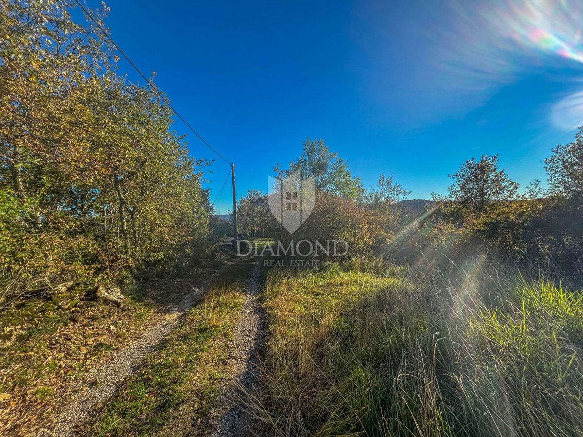 Motovun, proprietà con grande potenziale di sviluppo!