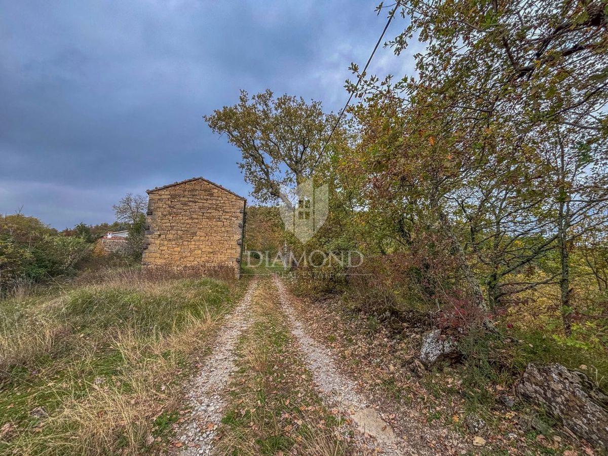 Motovun, proprietà con grande potenziale di sviluppo!