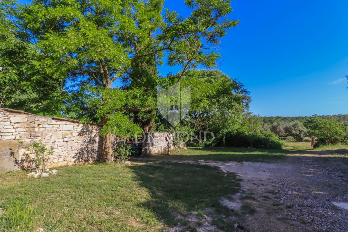 Rovigno, dintorni, proprietà con una casa come opportunità di investimento