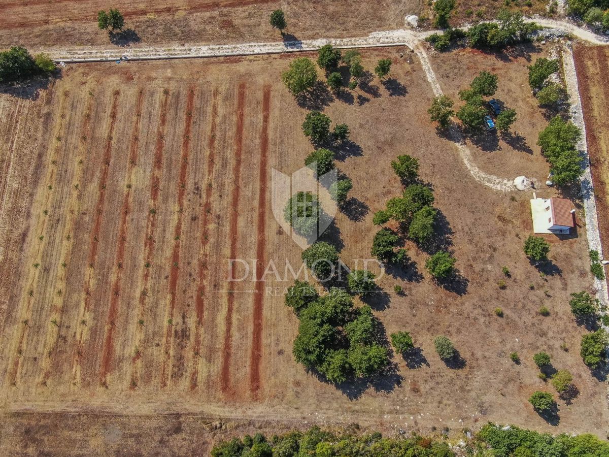 Rovigno, dintorni, casa con terreno spazioso