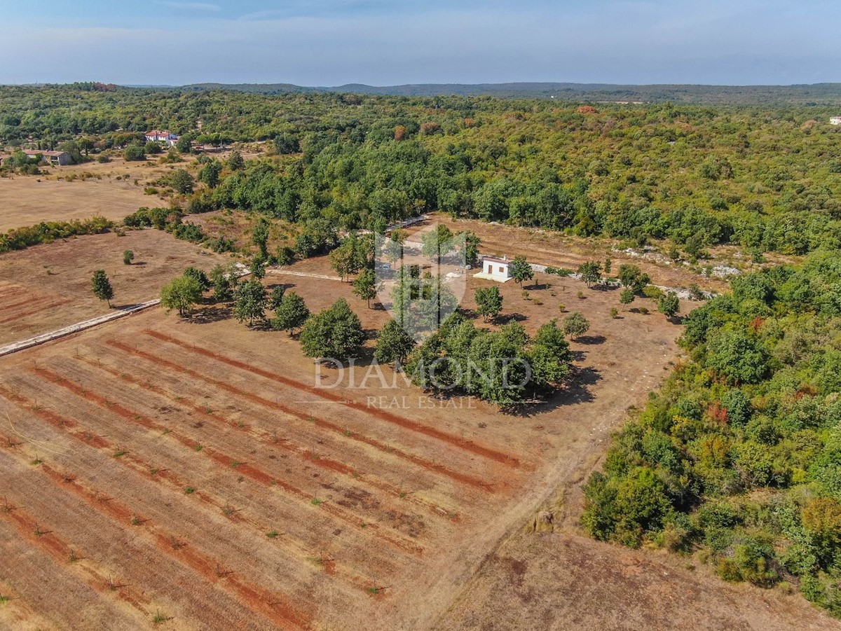 Rovigno, dintorni, casa con terreno spazioso