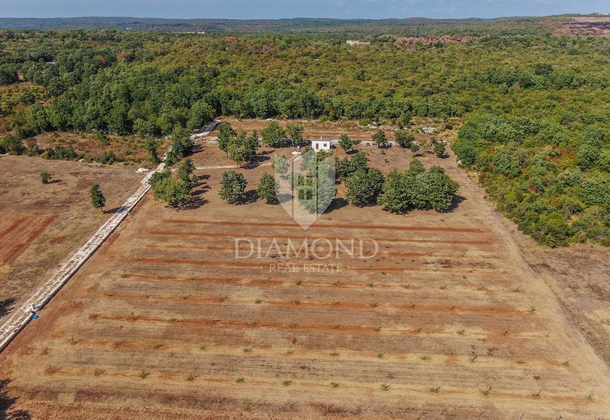 Rovigno, dintorni, casa con terreno spazioso