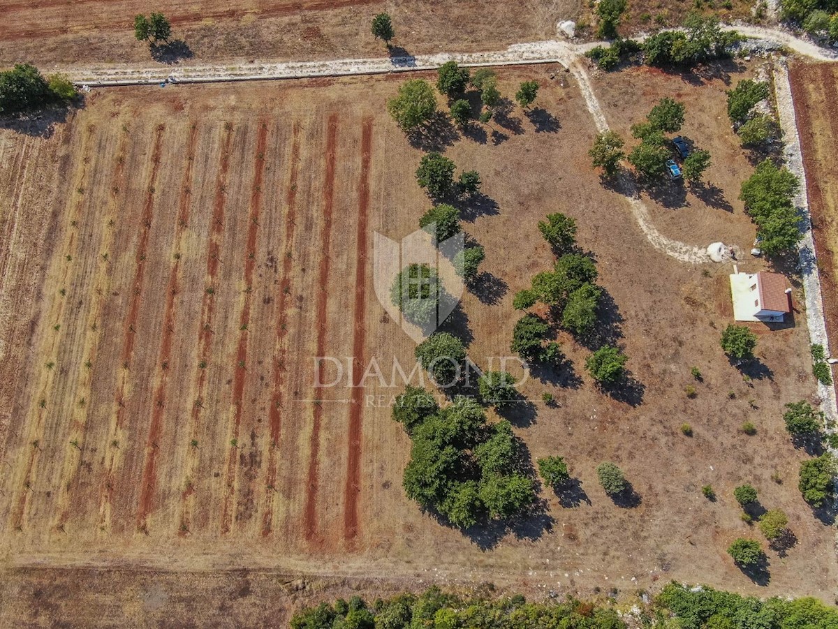 Rovigno, dintorni, casa con terreno spazioso