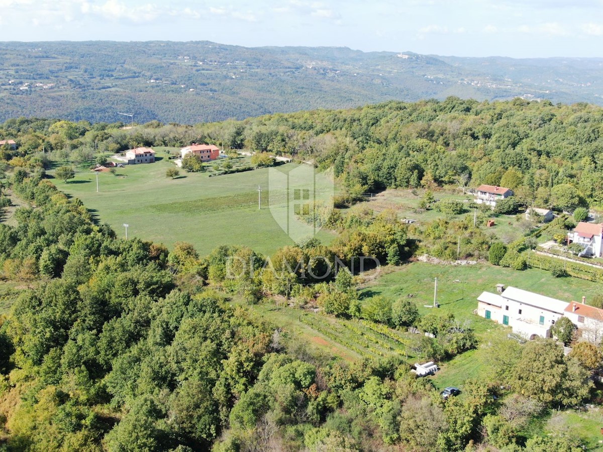 Labin, dintorni, casa in pietra per adeguamento