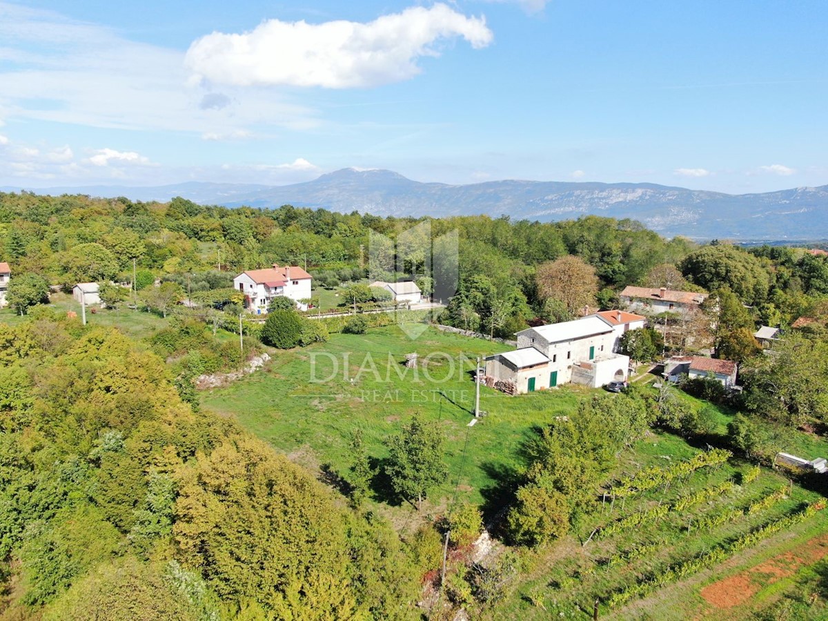 Labin, dintorni, casa in pietra per adeguamento