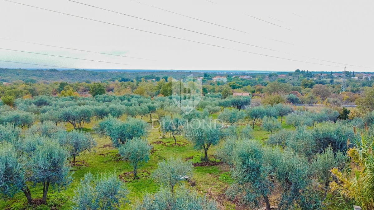 Umago, dintorni! Palazzina in una strada tranquilla!