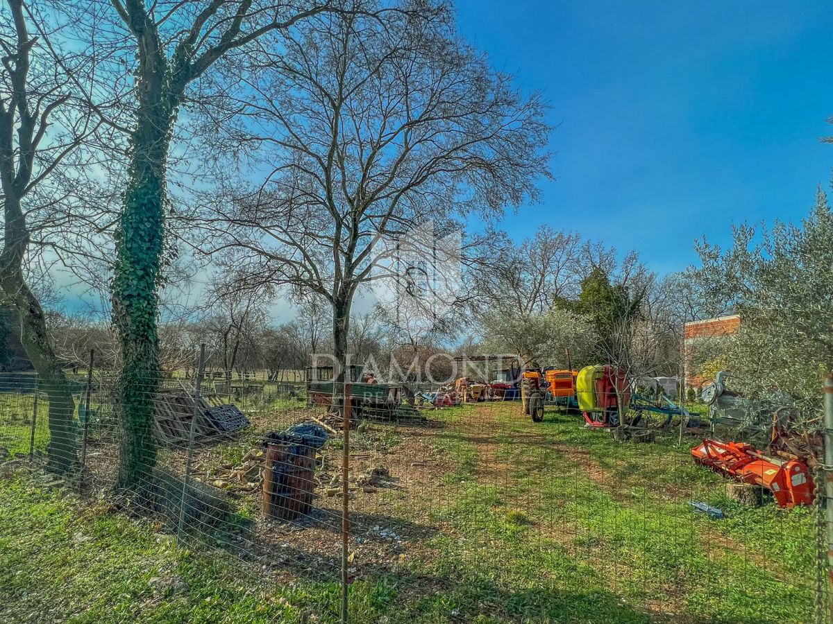 Zona di Verteneglio, terreno edificabile in una posizione tranquilla
