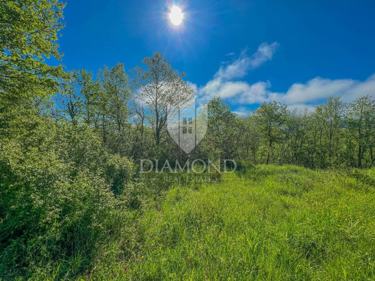 Oprtalj dintorni, terreno edificabile con potenziale