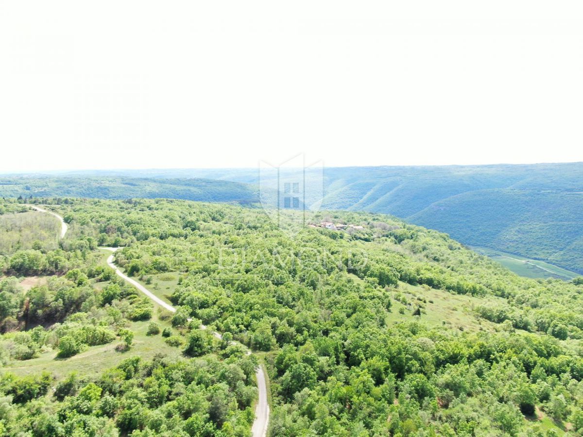 Labin, dintorni, bellissima proprietà isolata