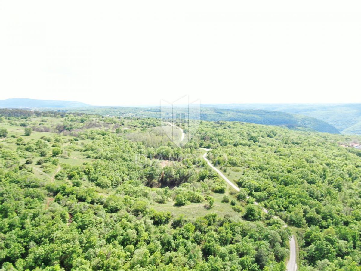 Labin, dintorni, bellissima proprietà isolata