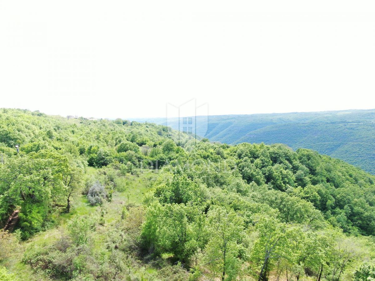 Labin, dintorni, bellissima proprietà isolata