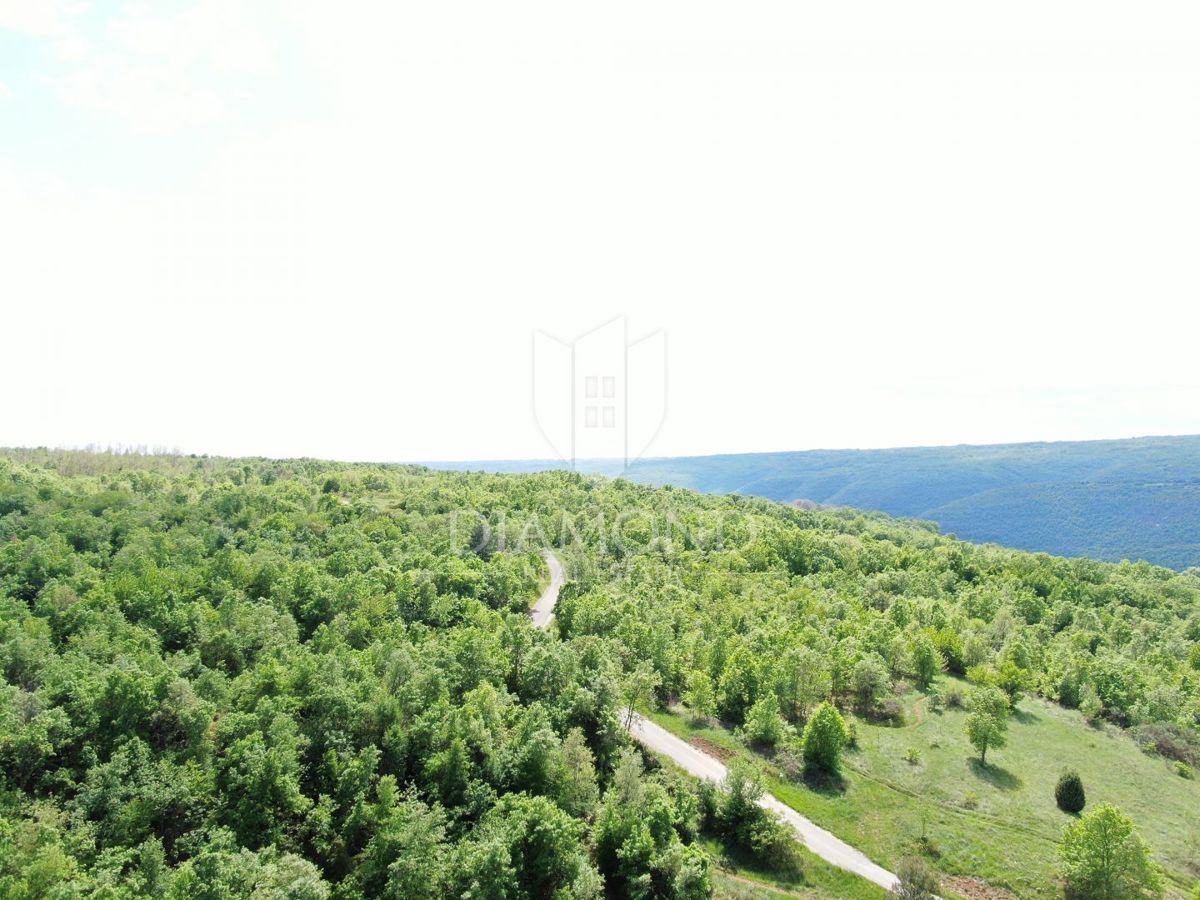 Labin, dintorni, bellissima proprietà isolata