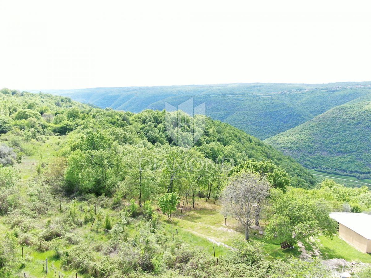 Labin, dintorni, bellissima proprietà isolata