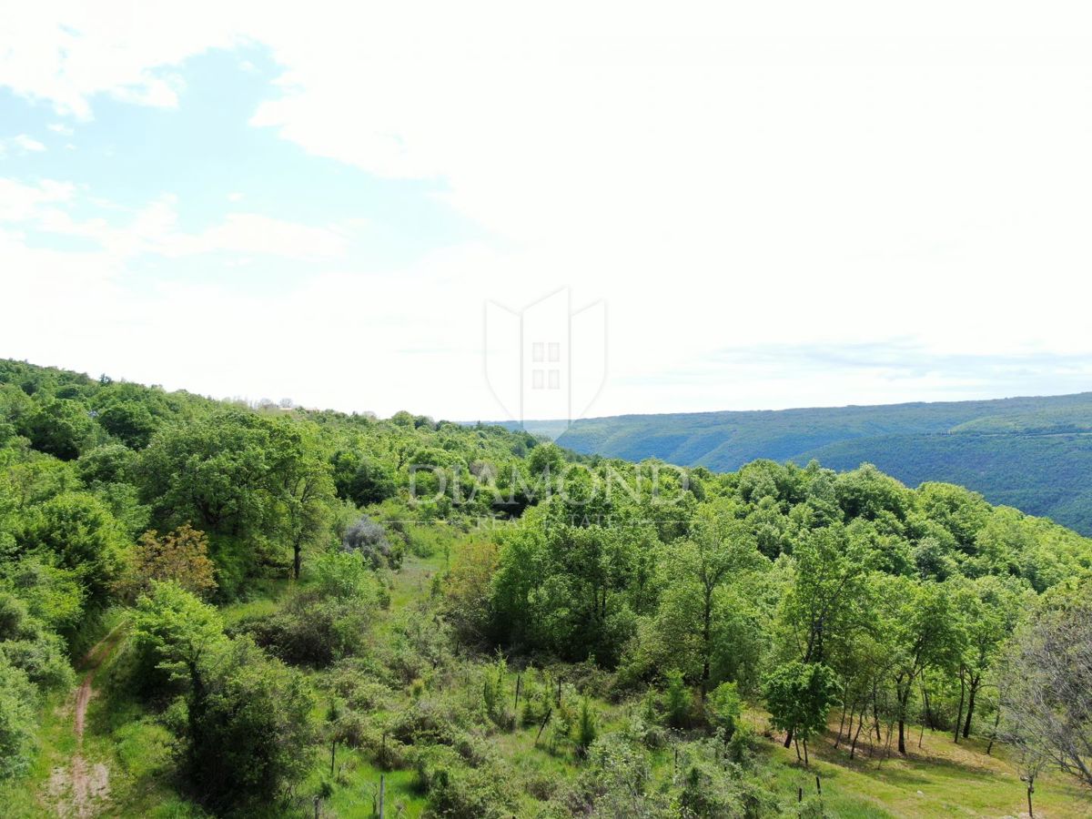 Labin, dintorni, bellissima proprietà isolata
