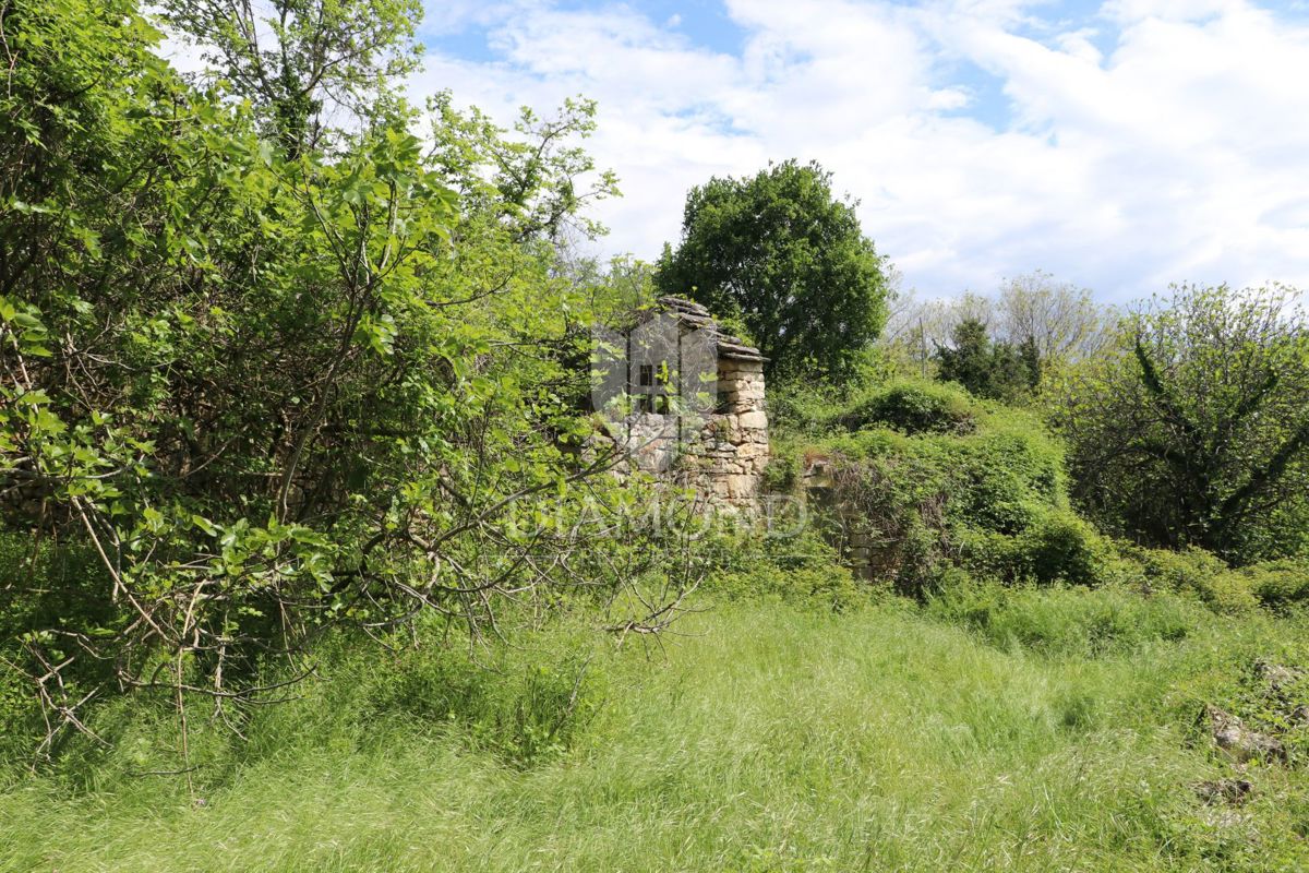 Labin, dintorni, bellissima proprietà isolata