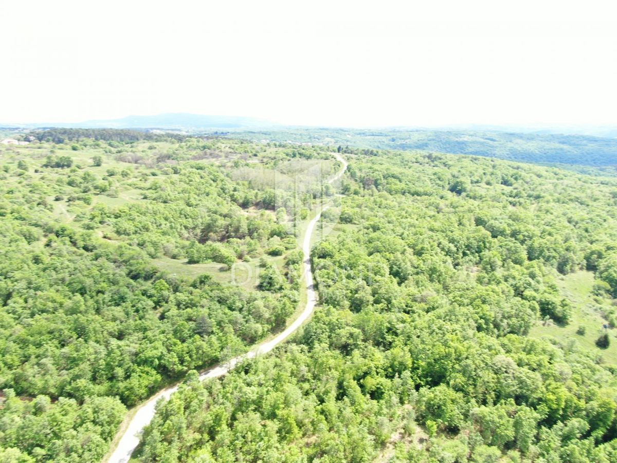 Labin, dintorni, bellissima proprietà isolata